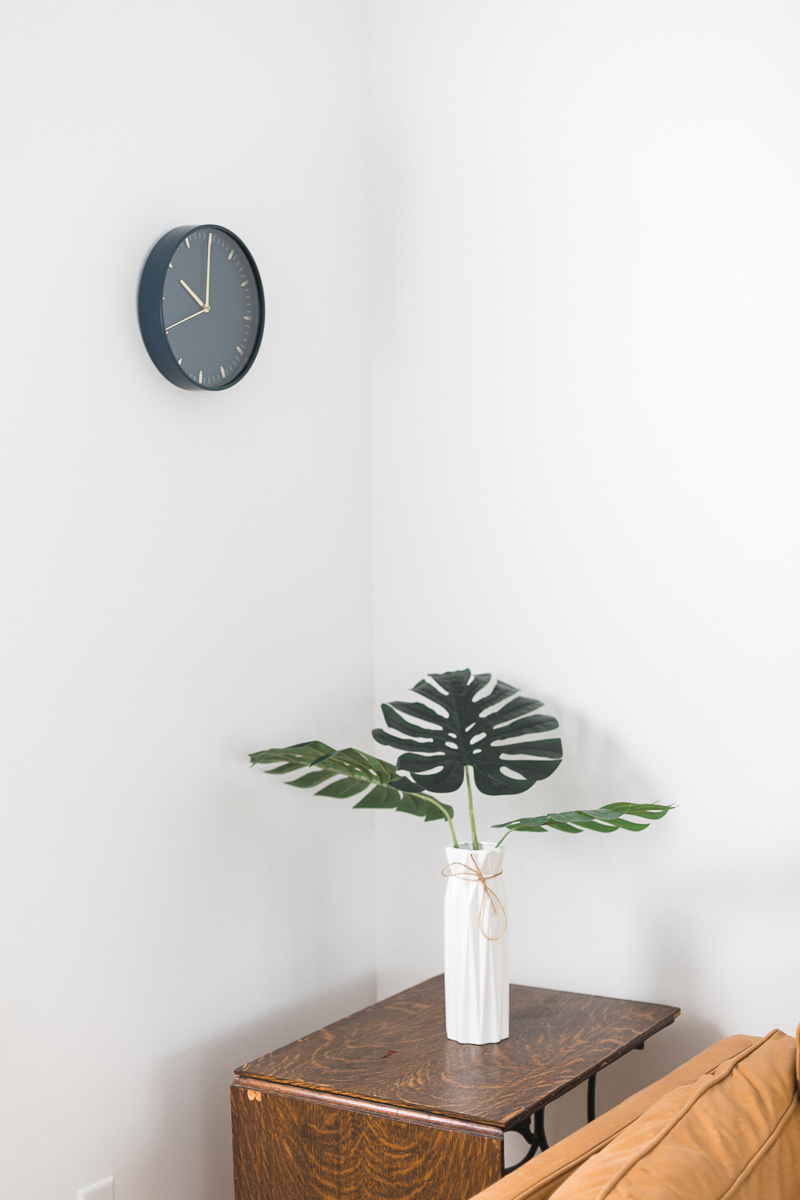 wall clock and plant on white wall