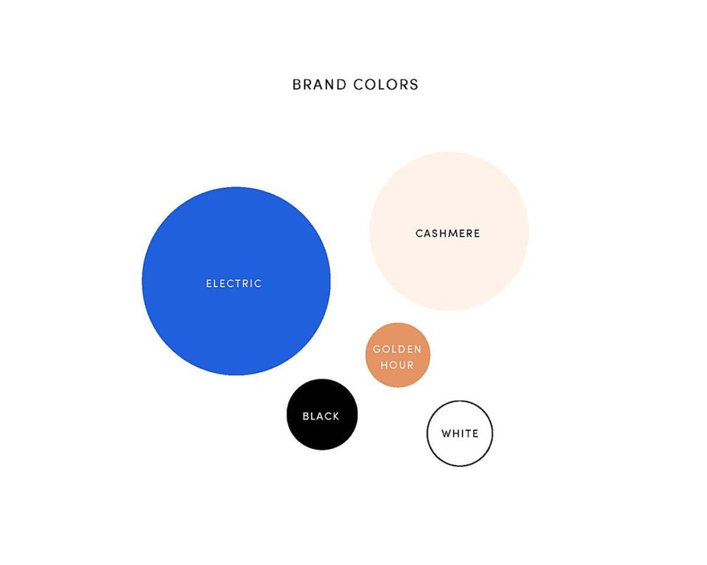 modern color palette brand identity for a brand photographer