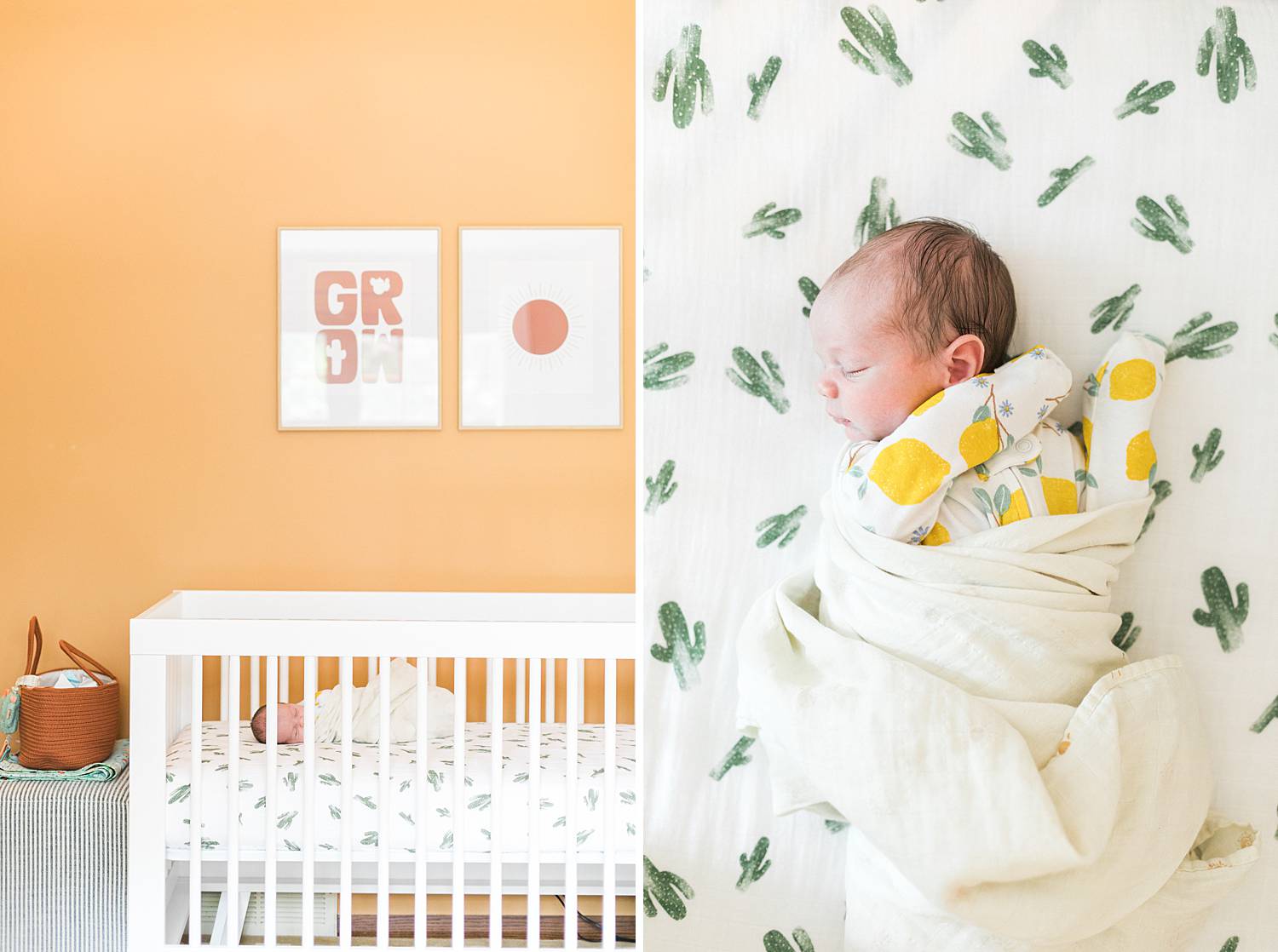 newborn photo, baby boy wearing onesie with lemons in a crib with cactus sheets and desert artwork